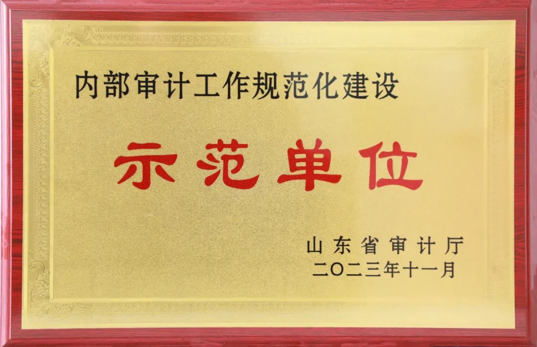 喜訊 | 豐源集團被認定為首批全省“內部審計工作規范化建設示范單位”